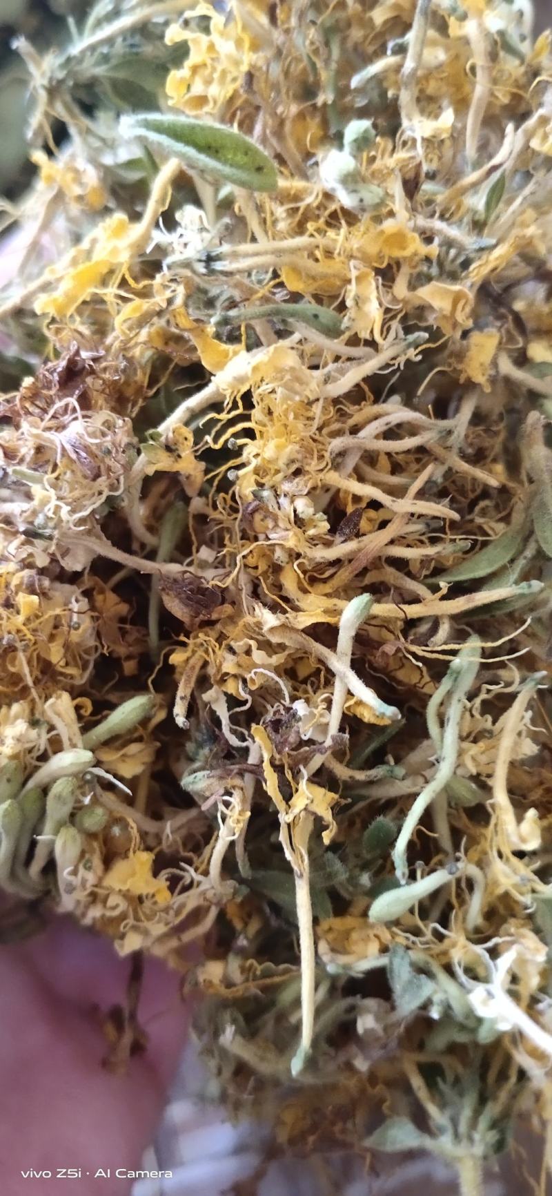 金银花没开花的无叶无杂质生晒无硫产地直供