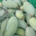 桂七芒果30元每件