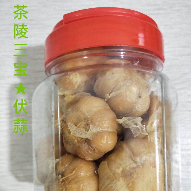 茶陵伏蒜