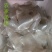 农家粉皮