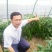 豫艺鲜辣28线椒种子结果能力强深绿皮线椒几乎节节有果