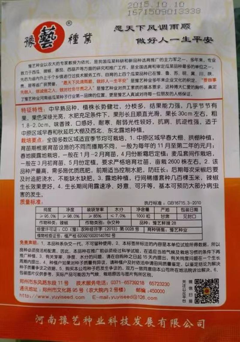 豫艺鲜辣28线椒种子结果能力强深绿皮线椒几乎节节有果