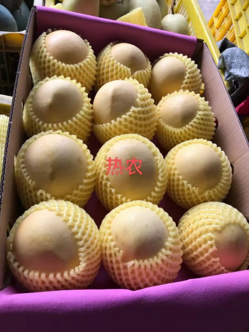 越农芒