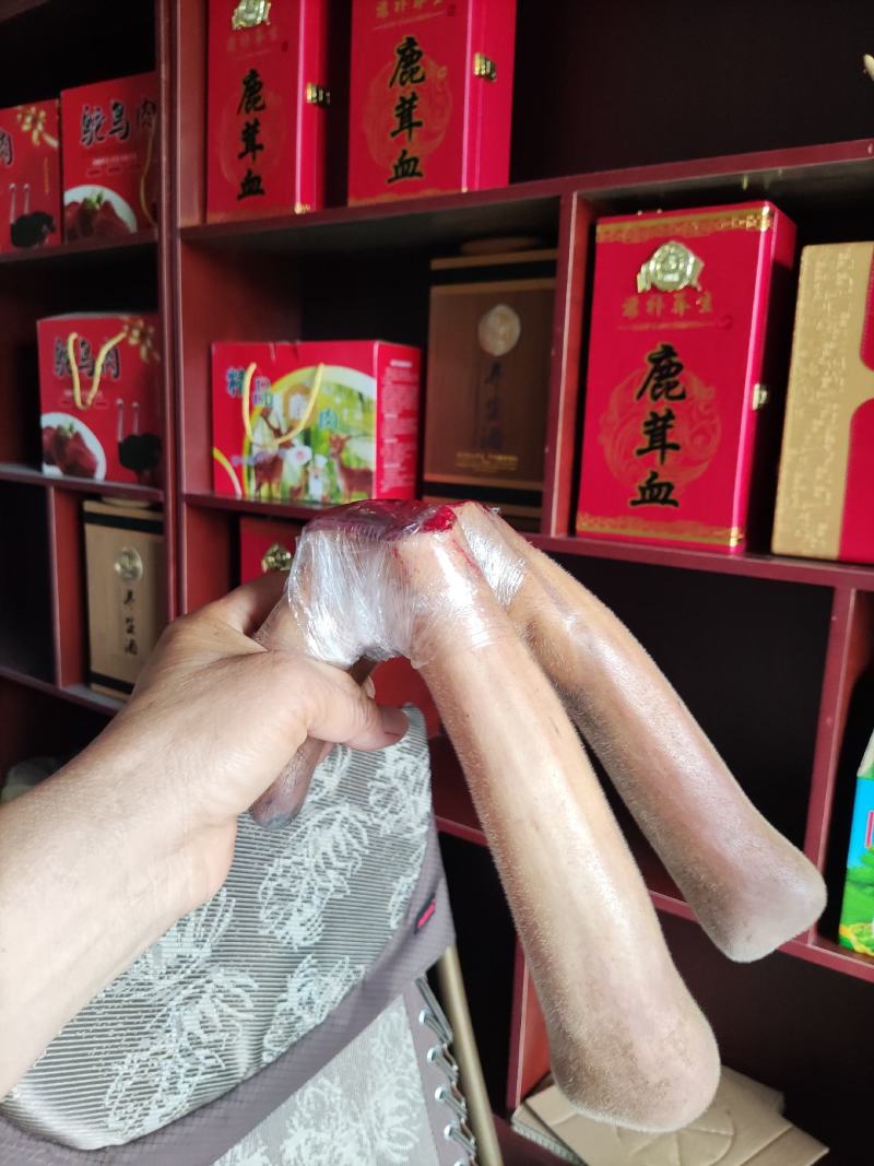 纯种梅花鹿梅花鹿饲料来源广泛包教技术包回收包运输