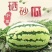 正宗宁夏硒砂瓜，石头瓜双红金城5，产地直发，保质保量。