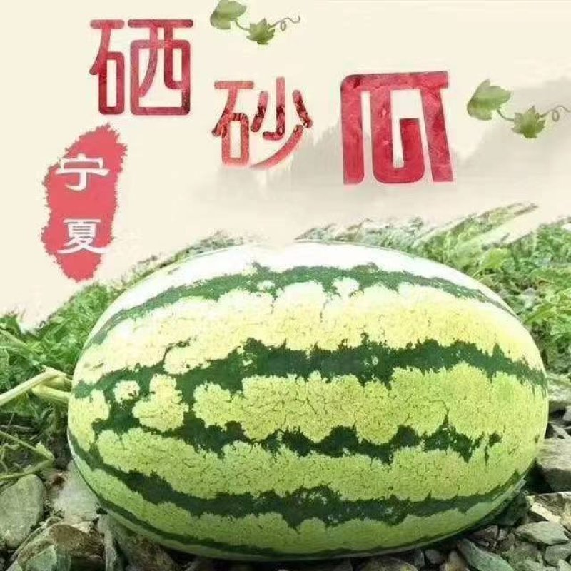 正宗宁夏硒砂瓜，石头瓜双红金城5，产地直发，保质保量。