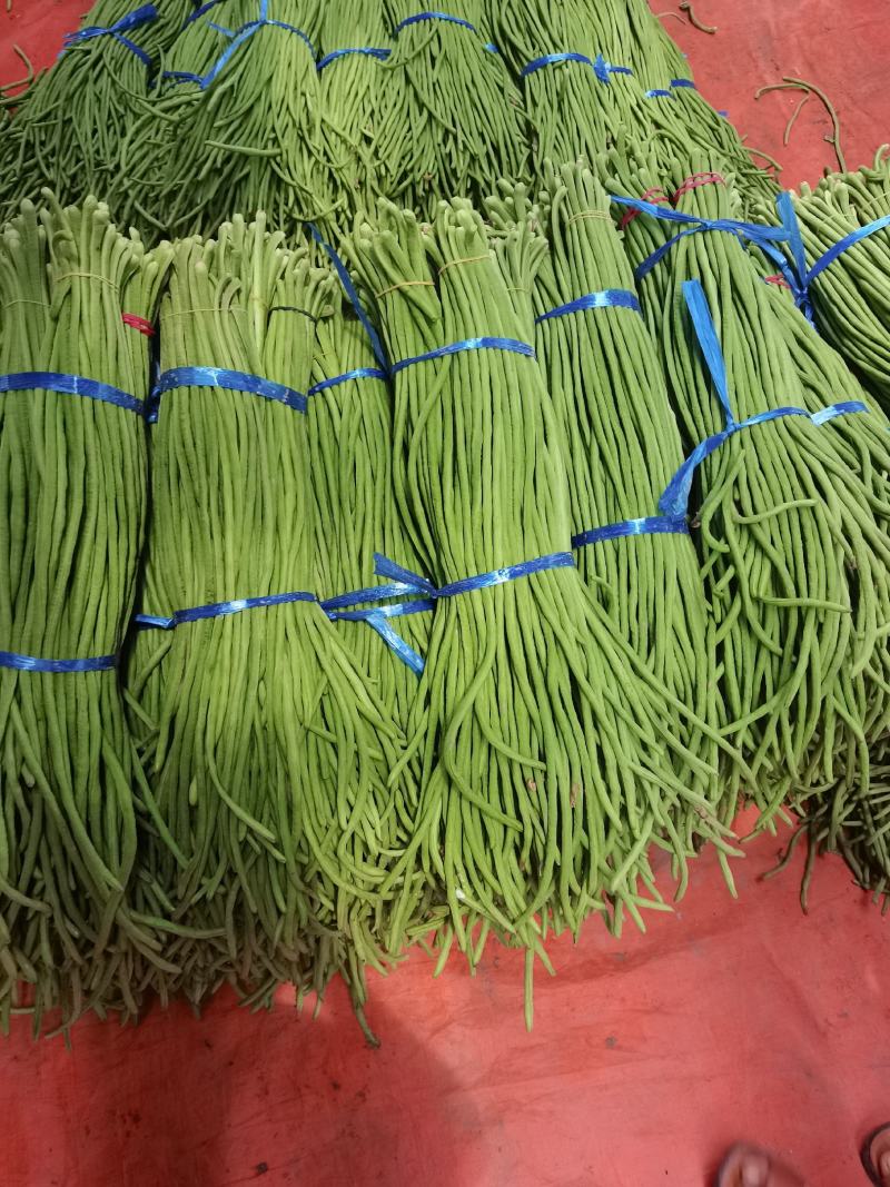 开封精品翠绿色长豆角，豇豆大量上市中欢迎来电洽谈合作