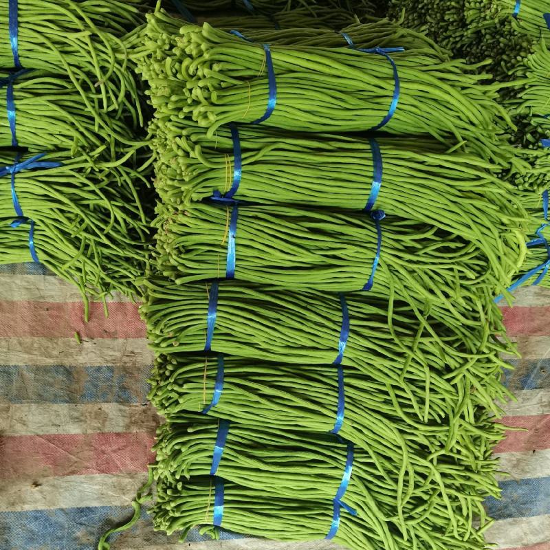 开封精品翠绿色长豆角，豇豆大量上市中欢迎来电洽谈合作