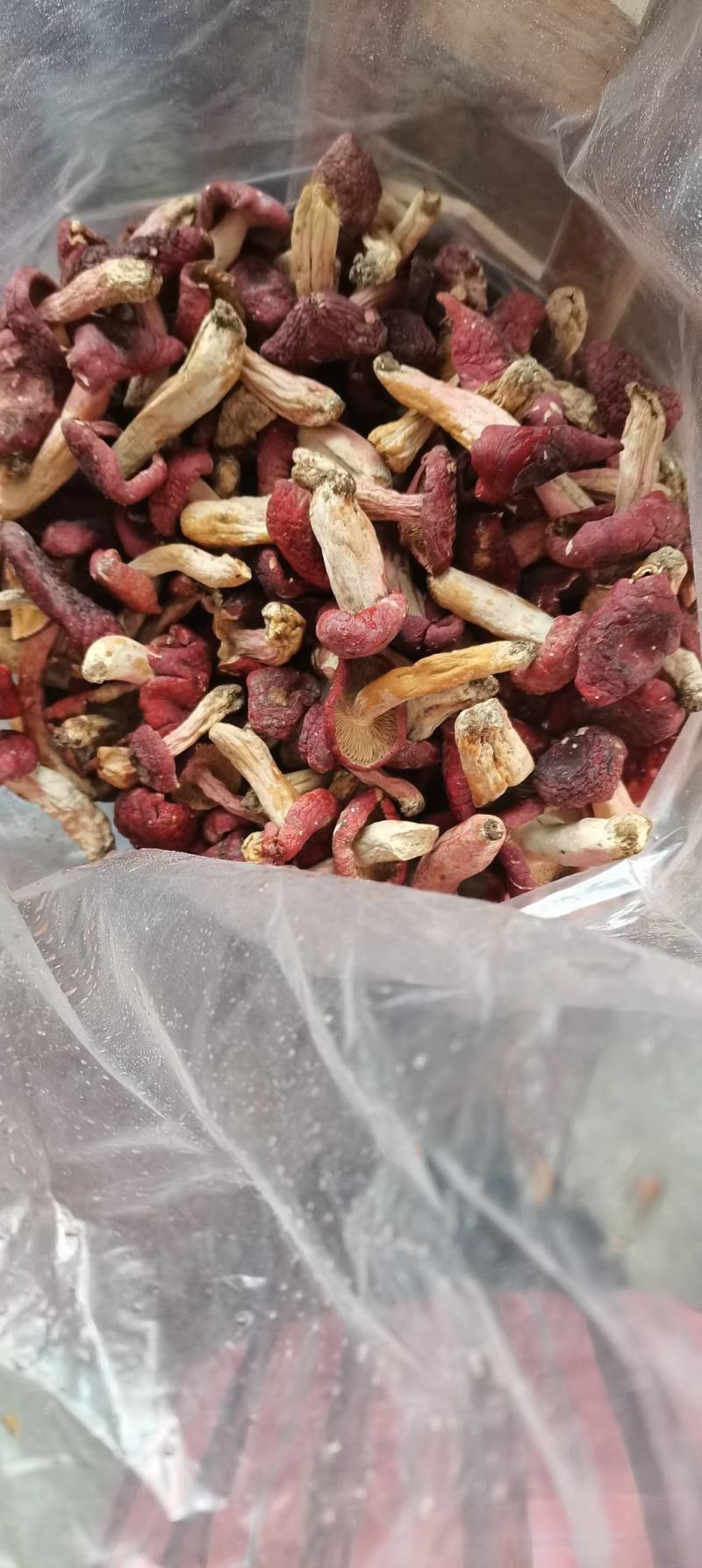 方城红菇.又甜又嫩野生红菇精选干货农家土炕烘干香味正包邮