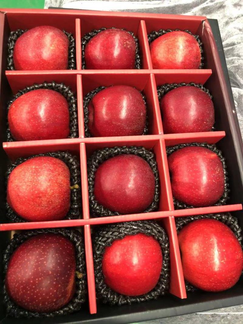 云南昭通苹果红嘎啦颜色好品质好产地批发大量供货。