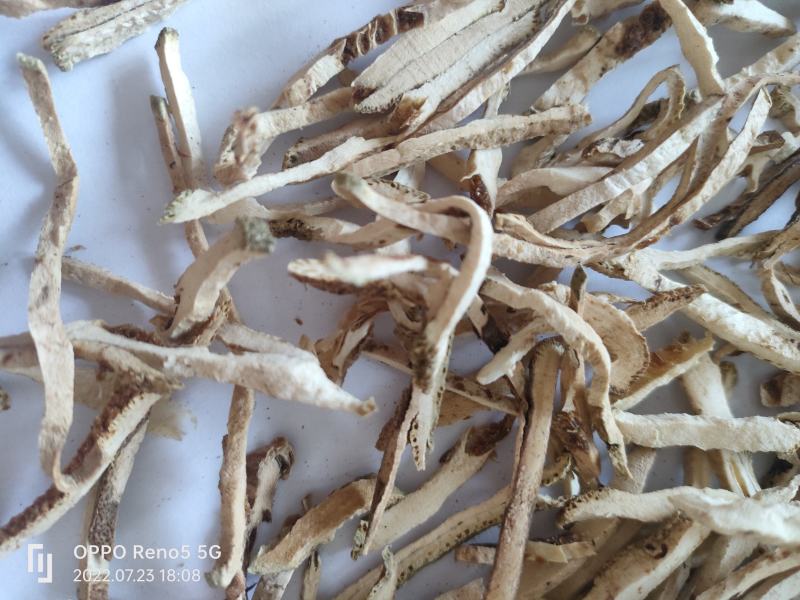 （热销）香橼枸橼钩缘干香圆祥泰药材栈中药材批发零