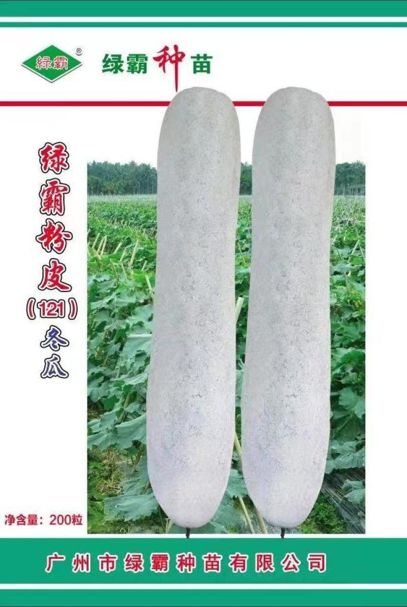 绿霸白皮冬瓜种子，绿霸粉皮冬瓜种子，品种齐全
