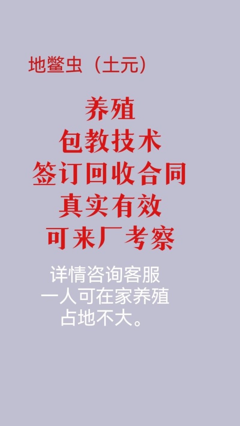 土元养殖地鳖虫养殖包技术包回收签订养殖合同