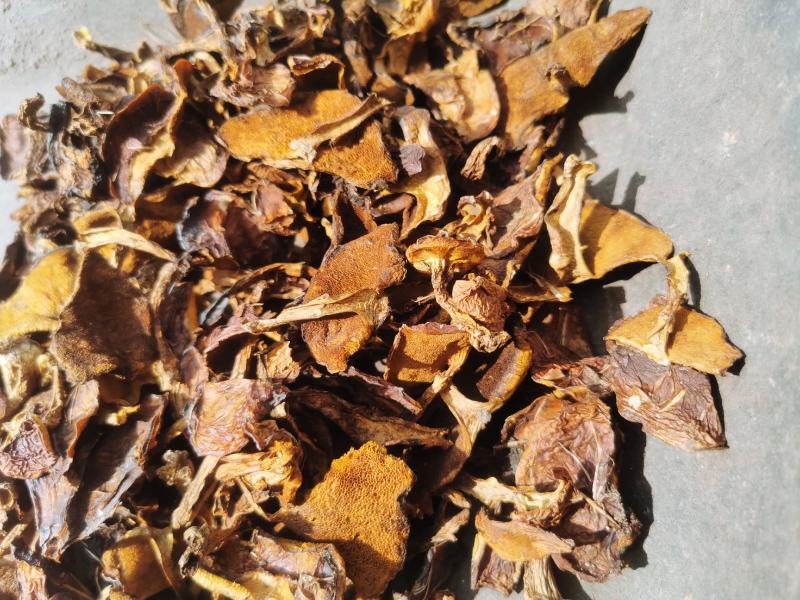 松蘑干货，去根烤干落叶松蘑，手切块，通货