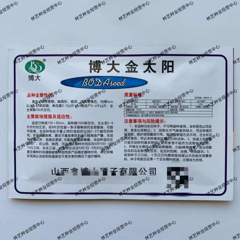 博大金太阳南瓜种子口感甜面扁圆形南瓜种籽春秋季农家