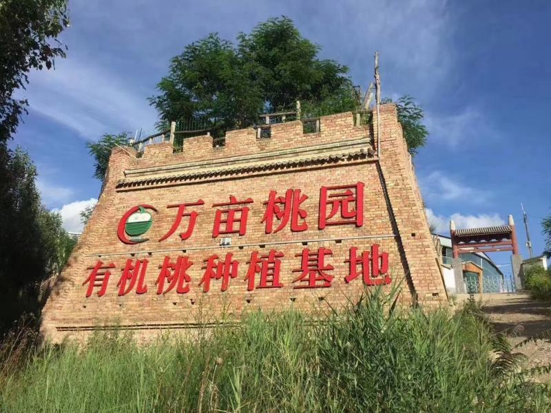 精品仓方早生一件也是代发
