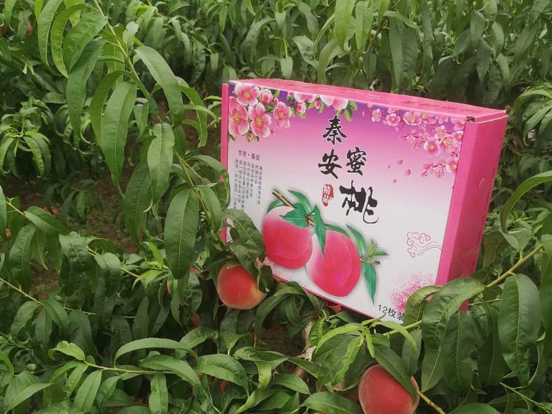 精品仓方早生一件也是代发
