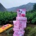 精品仓方早生一件也是代发