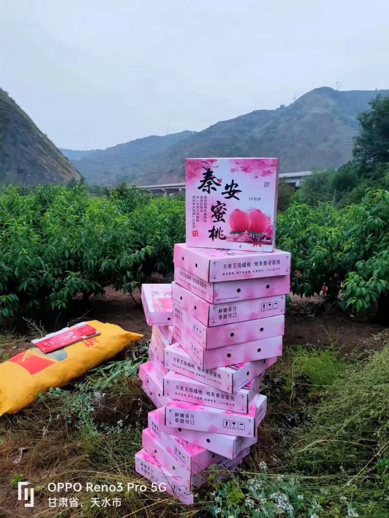 精品仓方早生一件也是代发