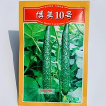 德瑞特博美10号黄瓜种子春秋露地瓜色深绿油亮密刺黄瓜