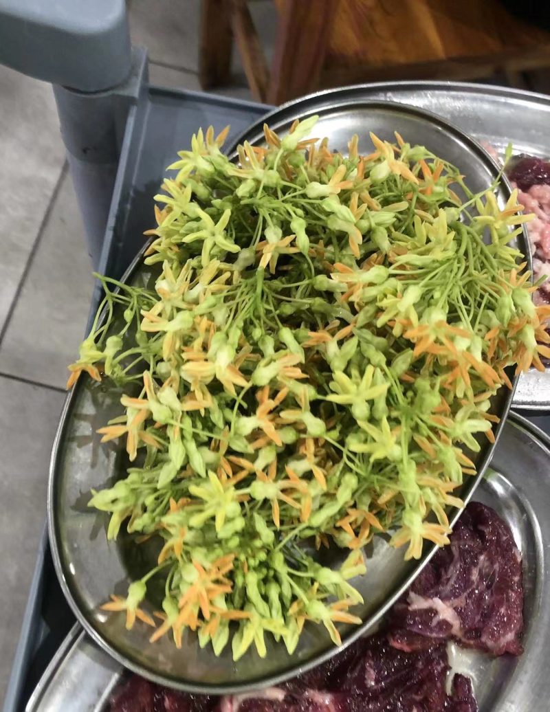 夜兰花，花王，天花板级