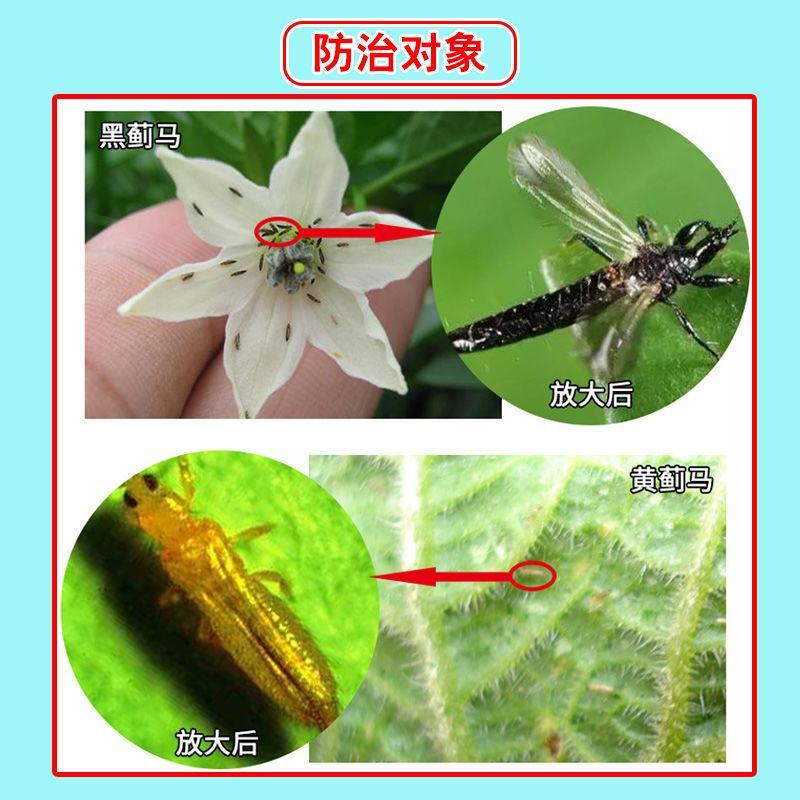 九一时代9.1%甲氨基阿维菌素苯甲酸盐抗性青虫蓟马杀虫剂