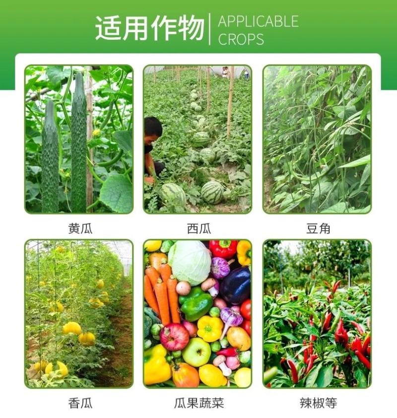 九一时代9.1%甲氨基阿维菌素苯甲酸盐抗性青虫蓟马杀虫剂