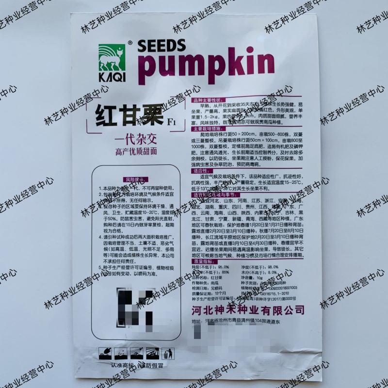 超甜红甘栗南瓜种子红皮小南瓜籽板栗甜面甘栗春夏秋季