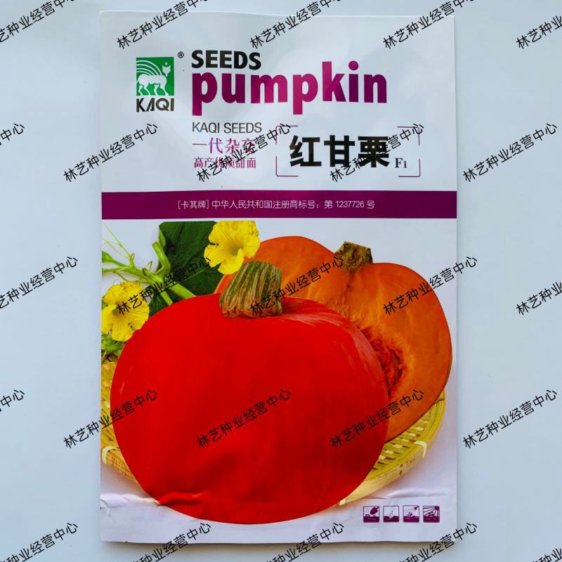 超甜红甘栗南瓜种子红皮小南瓜籽板栗甜面甘栗春夏秋季