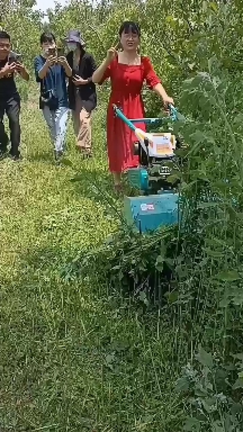 低矮果园碎草还田机柴油大马力割草机自走式园林除草机