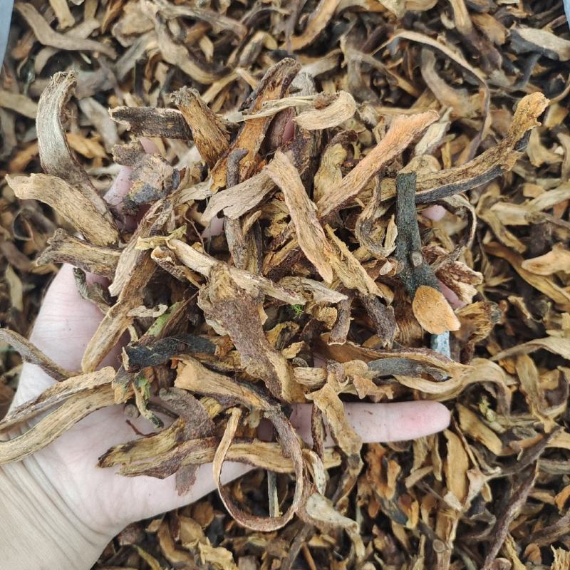 骨碎补去毛生骨碎补产地云南省中药材批发规格齐全
