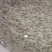 淡水南美白对虾苗基围虾苗一代快大对虾苗淡水虾苗