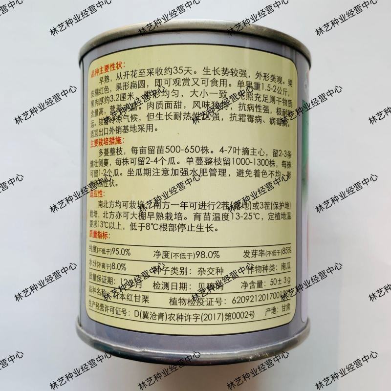 日本红甘栗南瓜种子神禾甜面种籽可观赏食用早熟杂交耐热抗病
