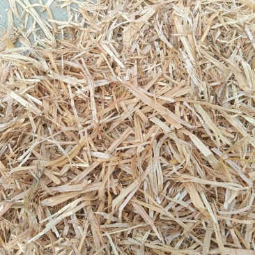 精品牛草小麦秸秆五道绳