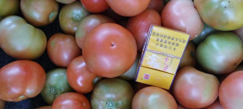 大红西红柿，粉果产地大量上市，各种都有货，质量好