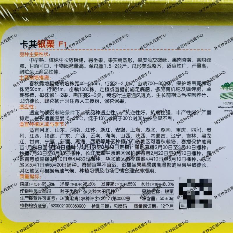 卡其银栗南瓜种子杂交中早熟抗病香甜细腻甘面可口大田用种籽