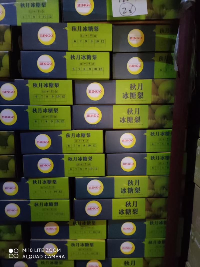 精选山东冠县丰水梨，秋月梨，可对接社区团购，电商平台