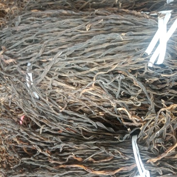 精品干豆角