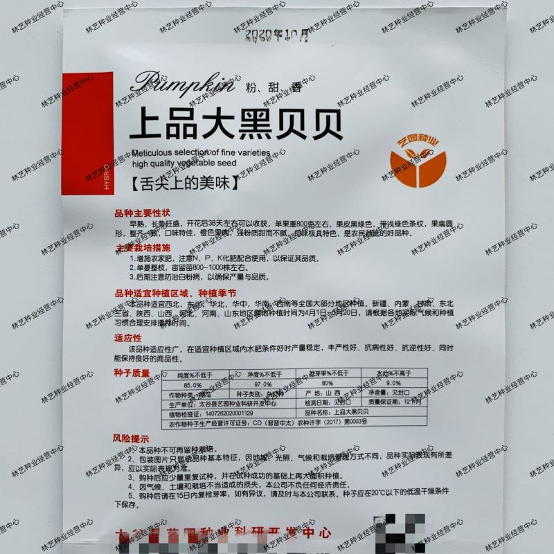 上品大黑贝贝南瓜种子强粉质甜香肉厚粉质高果皮黑绿色南瓜