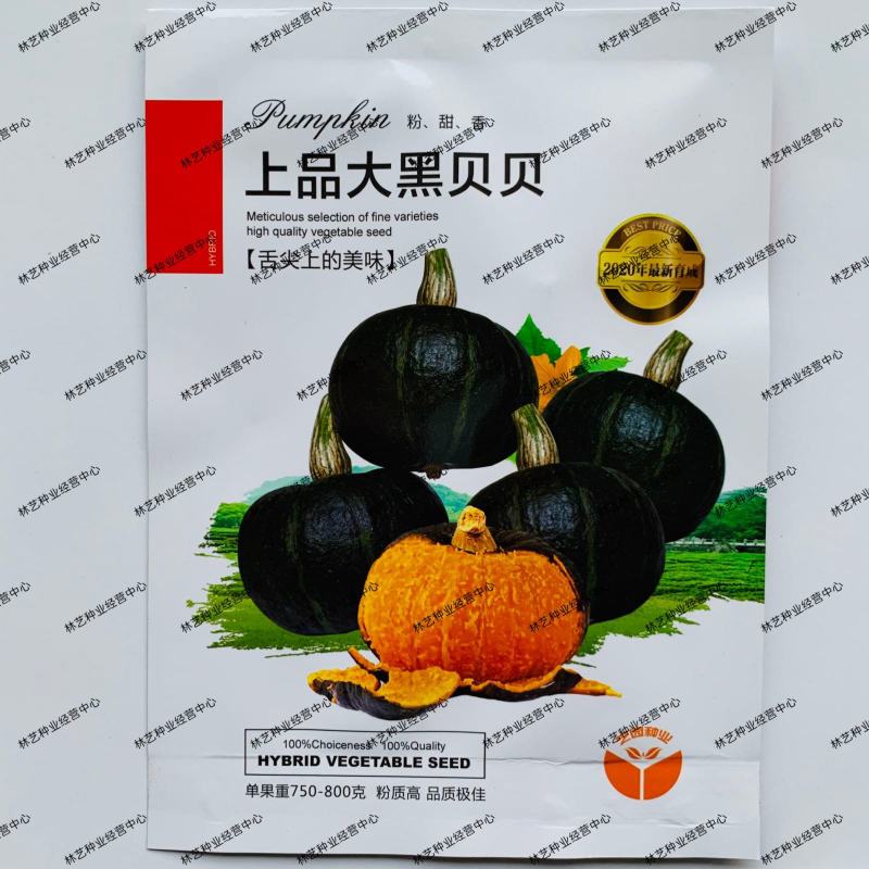 上品大黑贝贝南瓜种子强粉质甜香肉厚粉质高果皮黑绿色南瓜