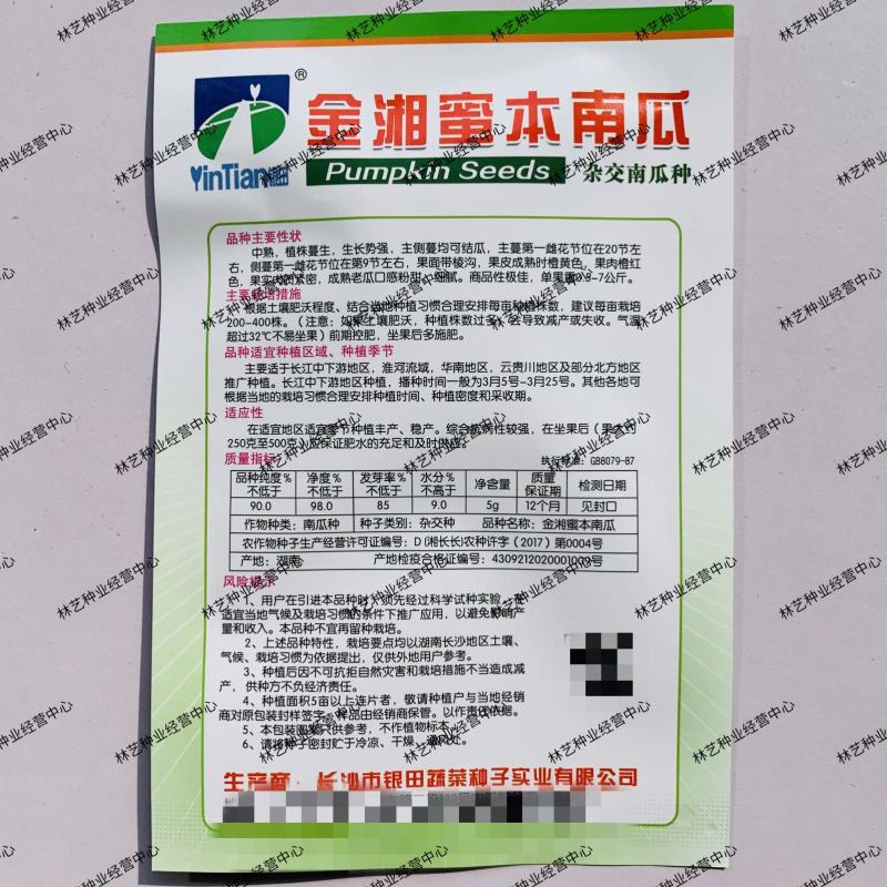南瓜种子金湘蜜本南瓜高产抗病中熟肉嫩粉甜细腻爽脆优质南瓜