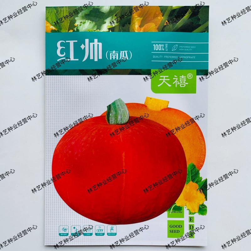 天禧红帅南瓜种子长蔓红皮西洋圆形南瓜种籽扁南瓜早熟春播高