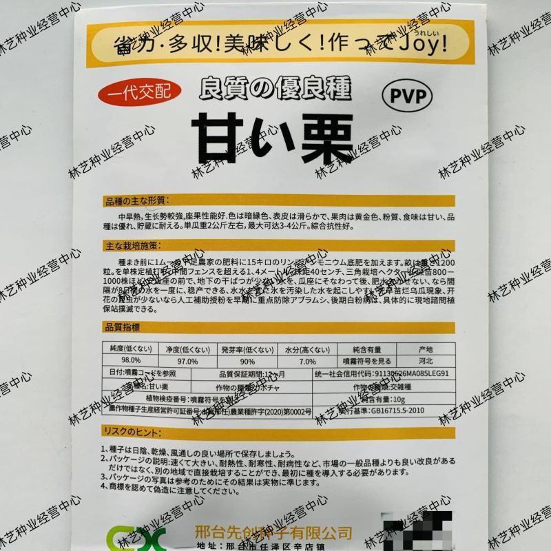 一代交配甘栗小南瓜种子板栗南瓜杂交种籽粉甜甘面基地用种