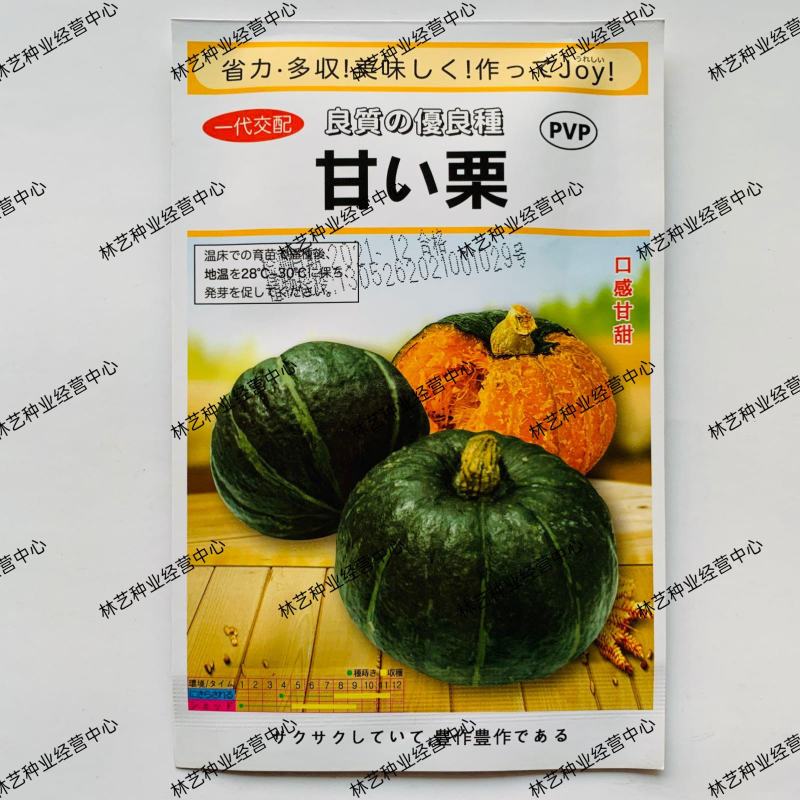 一代交配甘栗小南瓜种子板栗南瓜杂交种籽粉甜甘面基地用种