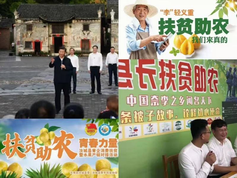 湖南文明特产黄金奈李恐龙蛋脱骨蜂糖李自家果园现摘现发