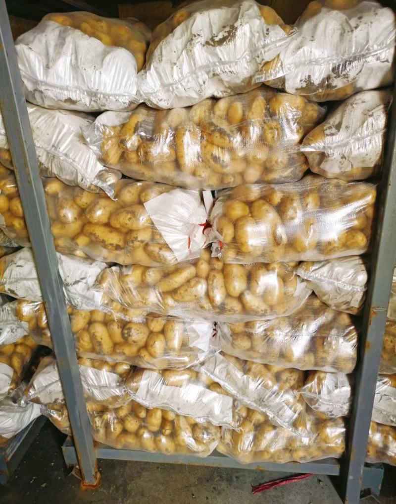 【热卖V7土豆】3两以上精品上市量大从优价格美丽