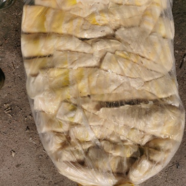 麻笋尖，麻竹笋笋尖全嫩价格实惠品质保证欢迎联系