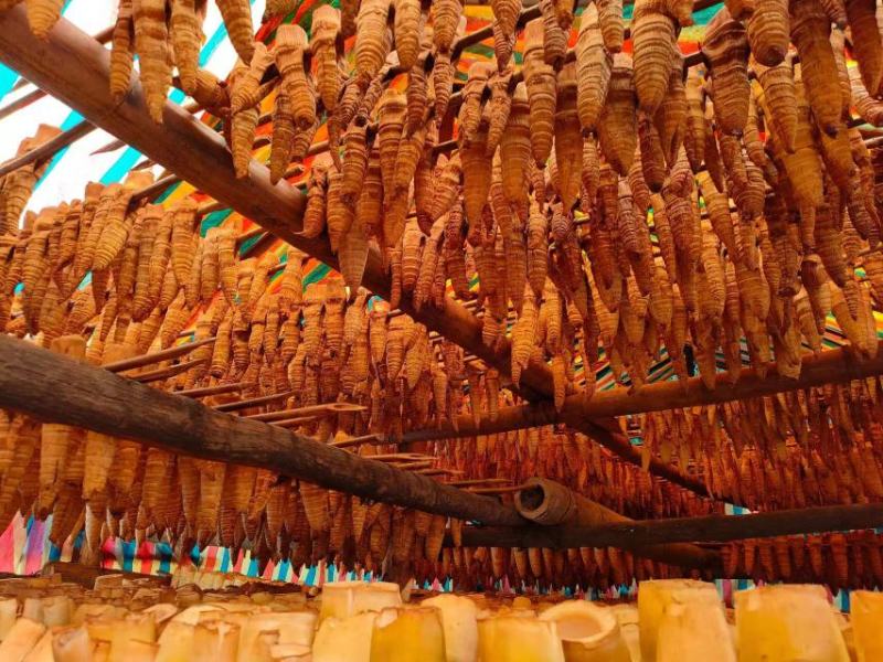 麻竹烟筒龙竹烟筒笋干全笋尖