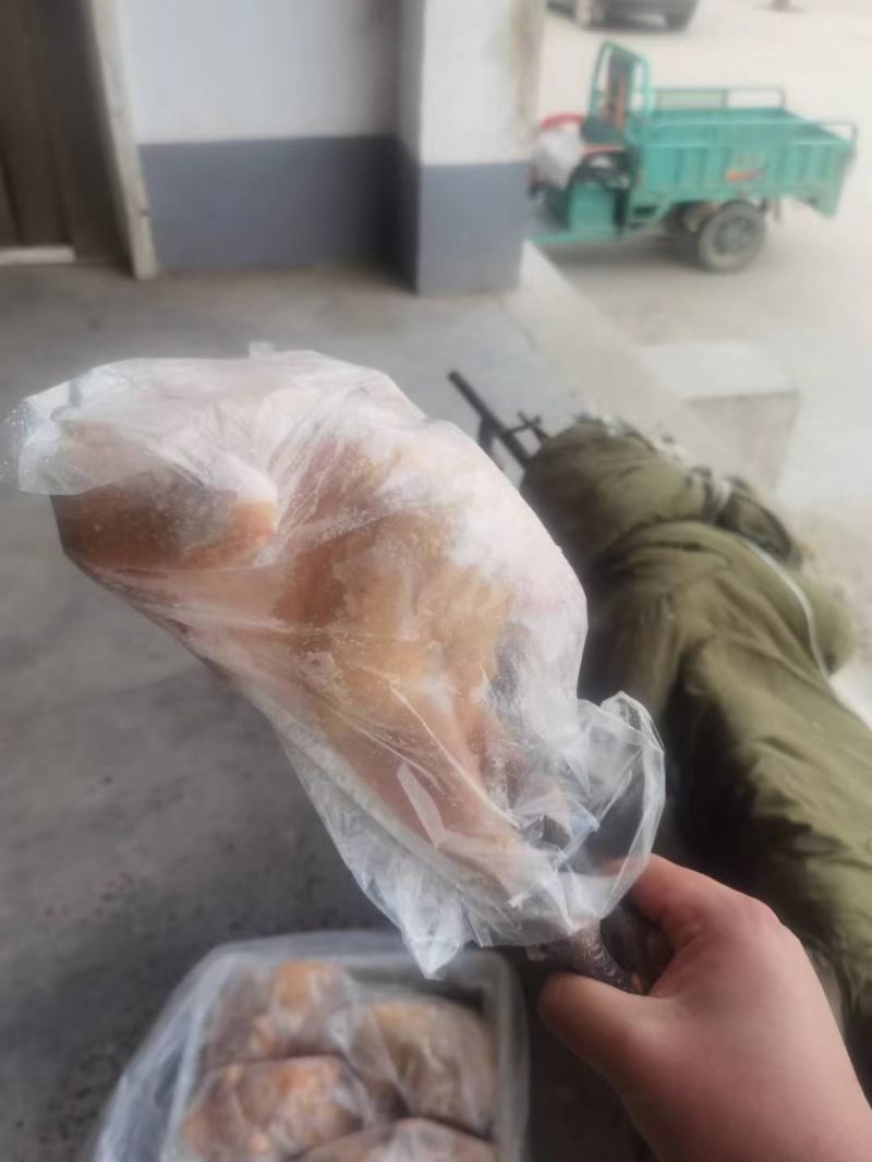 青脚麻母鸡