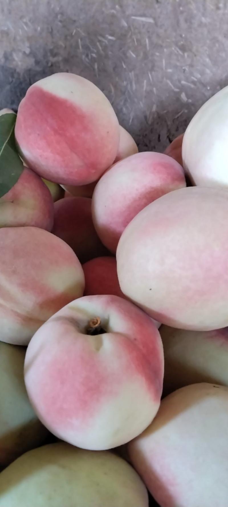 新鲜季节性水密桃